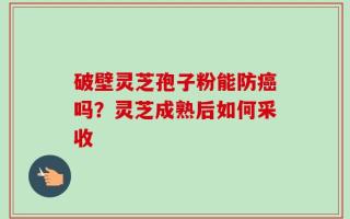 破壁灵芝孢子粉能防癌吗？灵芝成熟后如何采收