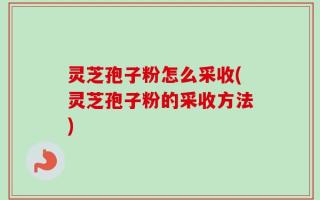 灵芝孢子粉怎么采收(灵芝孢子粉的采收方法)
