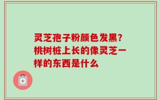 灵芝孢子粉颜色发黑？桃树桩上长的像灵芝一样的东西是什么