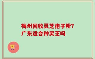 梅州回收灵芝孢子粉？广东适合种灵芝吗