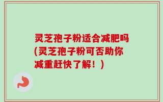 灵芝孢子粉适合减肥吗(灵芝孢子粉可否助你减重赶快了解！)