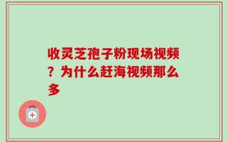 收灵芝孢子粉现场视频？为什么赶海视频那么多