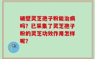 破壁灵芝孢子粉能治病吗？已采集了灵芝孢子粉的灵芝功效作用怎样呢？