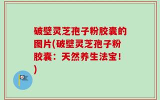 破壁灵芝孢子粉胶囊的图片(破壁灵芝孢子粉胶囊：天然养生法宝！)