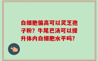 白细胞偏高可以灵芝孢子粉？牛尾巴汤可以提升体内白细胞水平吗？