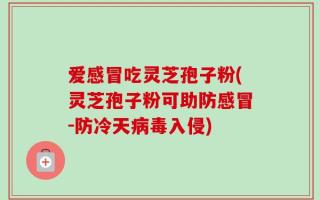 爱感冒吃灵芝孢子粉(灵芝孢子粉可助防感冒-防冷天病毒入侵)