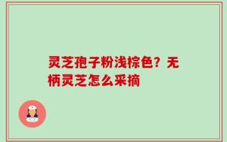 灵芝孢子粉浅棕色？无柄灵芝怎么采摘