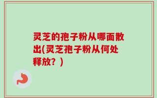 灵芝的孢子粉从哪面散出(灵芝孢子粉从何处释放？)