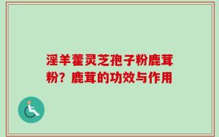 淫羊藿灵芝孢子粉鹿茸粉？鹿茸的功效与作用