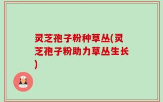 灵芝孢子粉种草丛(灵芝孢子粉助力草丛生长)