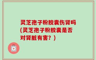 灵芝孢子粉胶囊伤肾吗(灵芝孢子粉胶囊是否对肾脏有害？)
