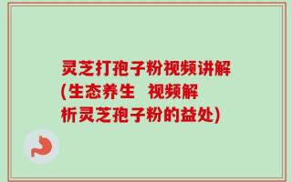 灵芝打孢子粉视频讲解(生态养生  视频解析灵芝孢子粉的益处)