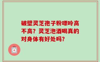 破壁灵芝孢子粉嘌呤高不高？灵芝泡酒喝真的对身体有好处吗？