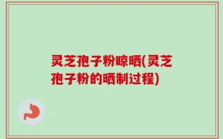 灵芝孢子粉晾晒(灵芝孢子粉的晒制过程)