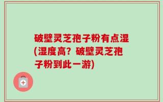 破壁灵芝孢子粉有点湿(湿度高？破壁灵芝孢子粉到此一游)