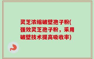 灵芝浓缩破壁孢子粉(强效灵芝孢子粉，采用破壁技术提高吸收率)