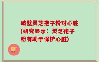破壁灵芝孢子粉对心脏(研究显示：灵芝孢子粉有助于保护心脏)