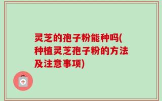 灵芝的孢子粉能种吗(种植灵芝孢子粉的方法及注意事项)