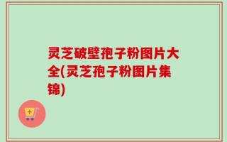灵芝破壁孢子粉图片大全(灵芝孢子粉图片集锦)