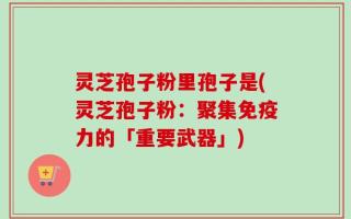 灵芝孢子粉里孢子是(灵芝孢子粉：聚集免疫力的「重要武器」)