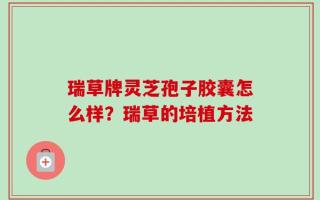 瑞草牌灵芝孢子胶囊怎么样？瑞草的培植方法