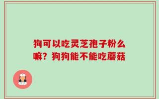 狗可以吃灵芝孢子粉么嘛？狗狗能不能吃蘑菇