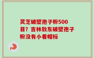 灵芝破壁孢子粉500目？吉林敖东破壁孢子粉没有小看帽标