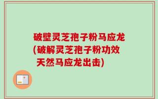 破壁灵芝孢子粉马应龙(破解灵芝孢子粉功效 天然马应龙出击)