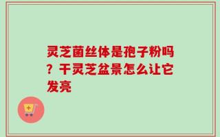 灵芝菌丝体是孢子粉吗？干灵芝盆景怎么让它发亮