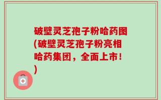 破壁灵芝孢子粉哈药图(破壁灵芝孢子粉亮相哈药集团，全面上市！)