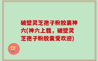破壁灵芝孢子粉胶囊神六(神六上载，破壁灵芝孢子粉胶囊受欢迎)