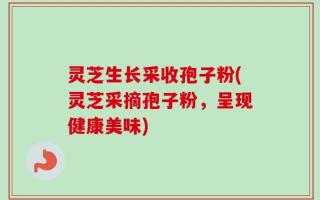 灵芝生长采收孢子粉(灵芝采摘孢子粉，呈现健康美味)