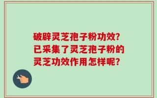 破辟灵芝孢子粉功效？已采集了灵芝孢子粉的灵芝功效作用怎样呢？