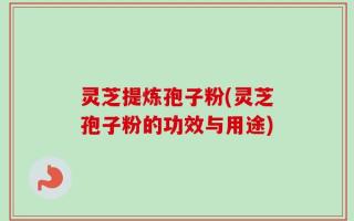 灵芝提炼孢子粉(灵芝孢子粉的功效与用途)