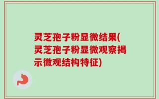 灵芝孢子粉显微结果(灵芝孢子粉显微观察揭示微观结构特征)