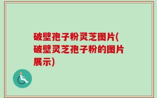 破壁孢子粉灵芝图片(破壁灵芝孢子粉的图片展示)