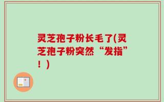 灵芝孢子粉长毛了(灵芝孢子粉突然“发指”！)