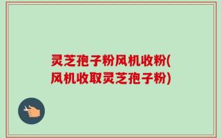 灵芝孢子粉风机收粉(风机收取灵芝孢子粉)