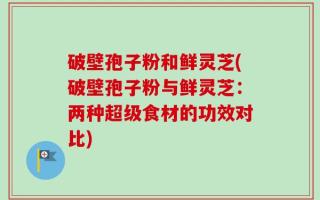 破壁孢子粉和鲜灵芝(破壁孢子粉与鲜灵芝：两种超级食材的功效对比)