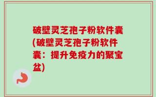 破壁灵芝孢子粉软件囊(破壁灵芝孢子粉软件囊：提升免疫力的聚宝盆)