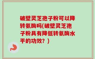 破壁灵芝孢子粉可以降转氨酶吗(破壁灵芝孢子粉具有降低转氨酶水平的功效？)