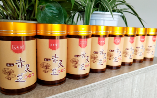 芝素堂泰山赤灵芝孢子粉孕育灵芝精华