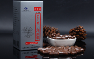 芝素堂破壁灵芝孢子粉胶囊可调节免疫能力