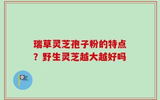 瑞草灵芝孢子粉的特点？野生灵芝越大越好吗