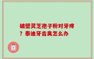破壁灵芝孢子粉对牙疼？泰迪牙齿臭怎么办