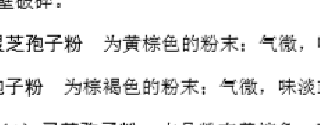 灵芝孢子粉有苦味吗？是不是越苦越好？