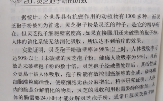 什么癌能吃灵芝孢子粉？能起到什么作用？