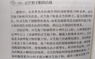 直肠癌晚期吃灵芝孢子粉？对治疗有哪些帮助？