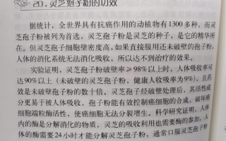 灵芝孢子粉对肺腺癌起效果吗？能起到什么作用？
