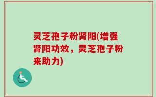 灵芝孢子粉肾阳(增强肾阳功效，灵芝孢子粉来助力)